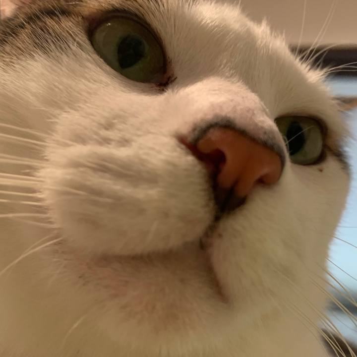 C697ec10 4949 47f5 8b12 3300f468b60a 1578702034965