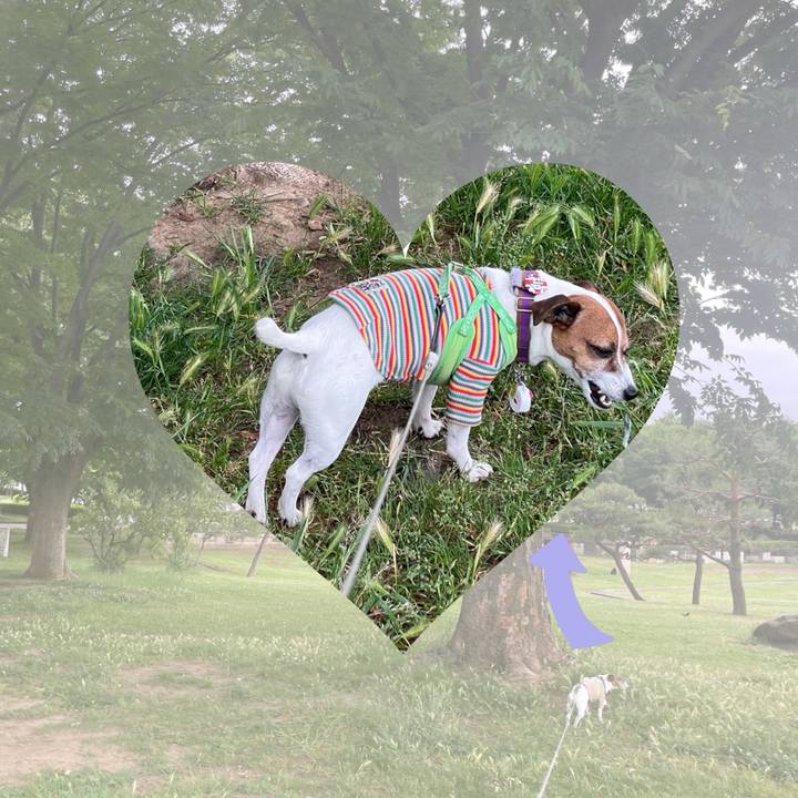 C6983ff7 8639 40c7 8865 55872ce29b19 1748677228599