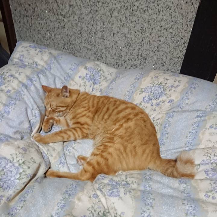 C69862c8 6729 47ef ba3d 39dbe6005231 1663243616502