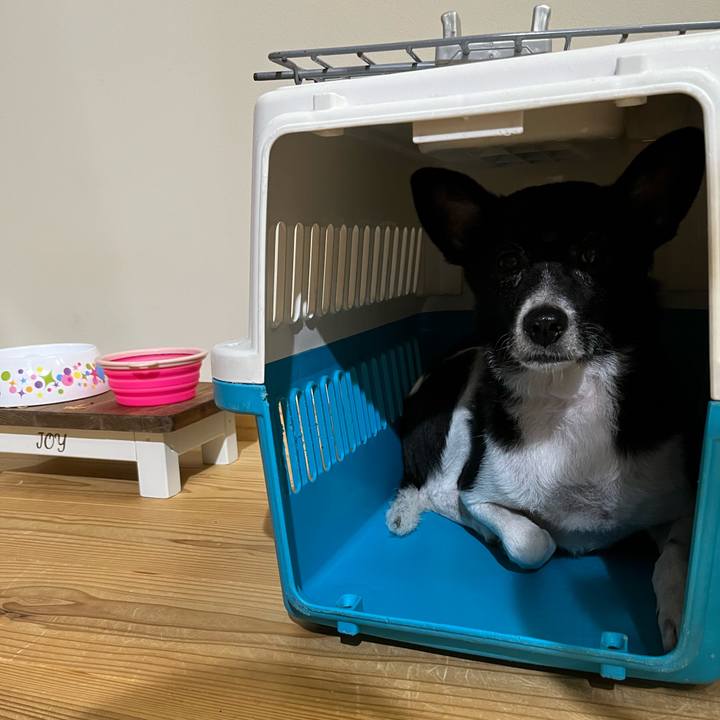 C6986bec fc75 4067 bbc0 23b033b82695 1664186149822