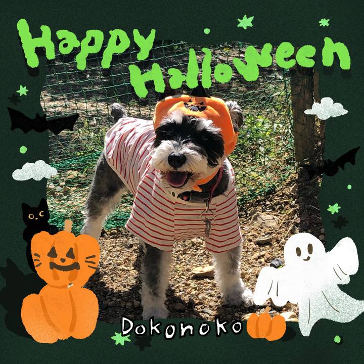 C6987153 31d2 4410 a9aa 72aebe65bfdf 1730376420968