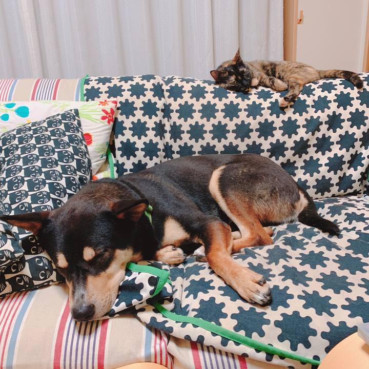 C69871b6 3e52 41fa a1e7 4ae5ed75189a 1559137521969