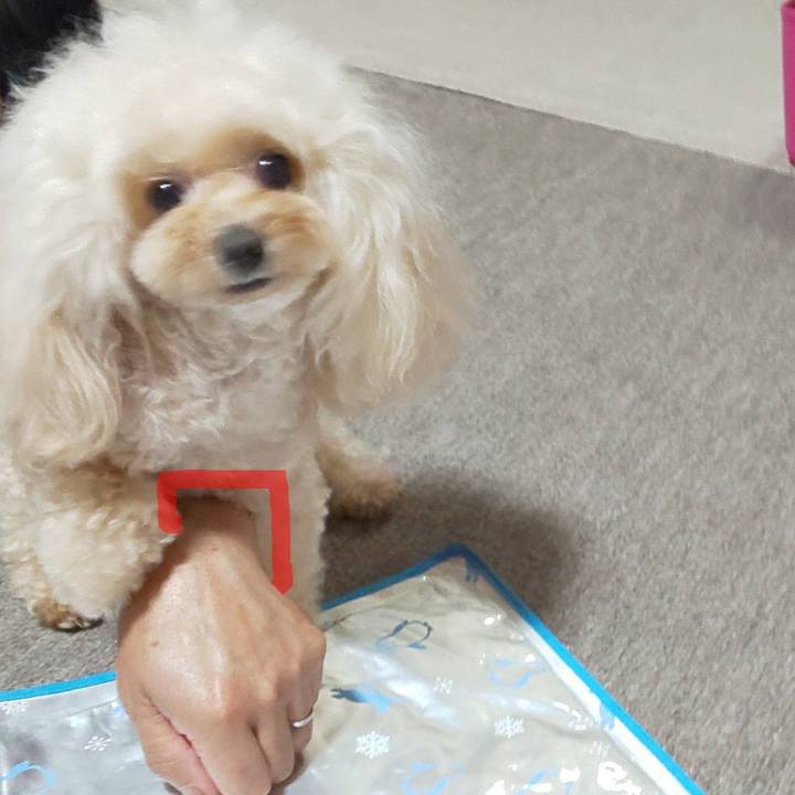 C698a742 3430 42dc b9c0 8b34ea0f7119 1687932066853