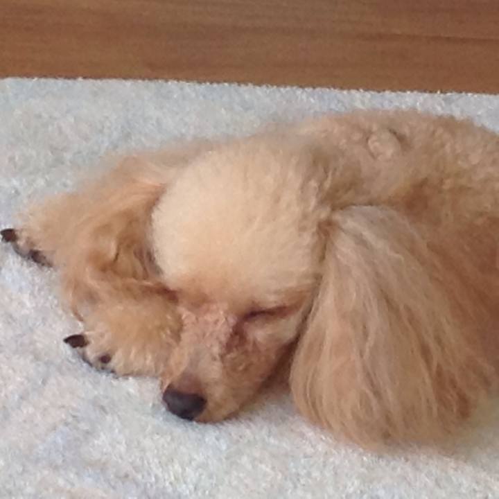 C698c094 8280 4e03 94c7 c35e3f80f2cb 1508755893589