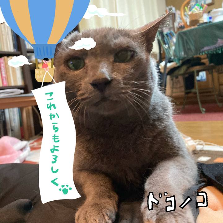 C698d990 19ab 4416 90b2 fc87c94ad539 1686011451635