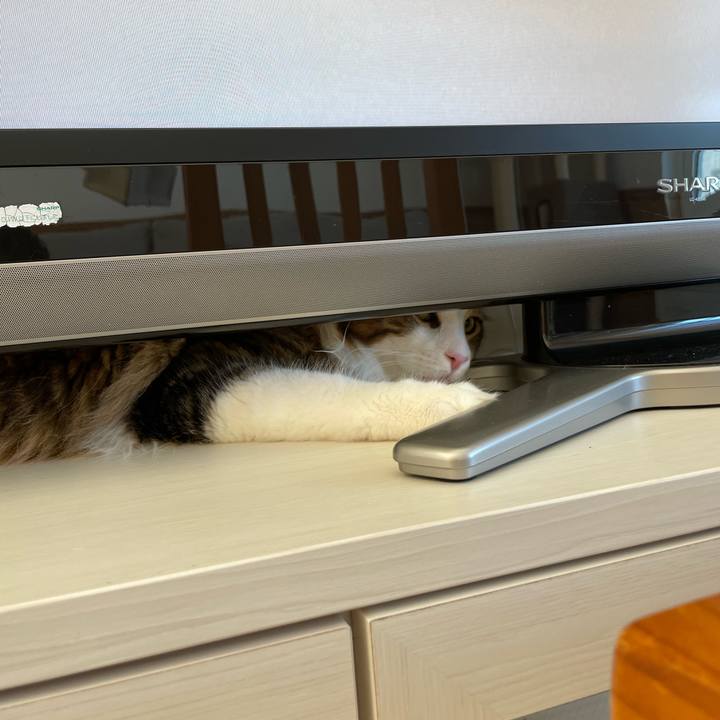 C6990d30 7001 412c 9630 ca822d99ecfc 1648944531946