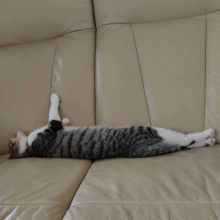 C69928de 9379 49c4 bb3c 81d84fc289de 1631414337826