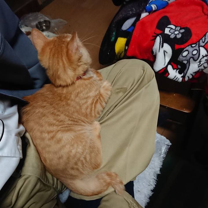 C6992d3d feff 45f4 900b c7011eae1265 1633384324418