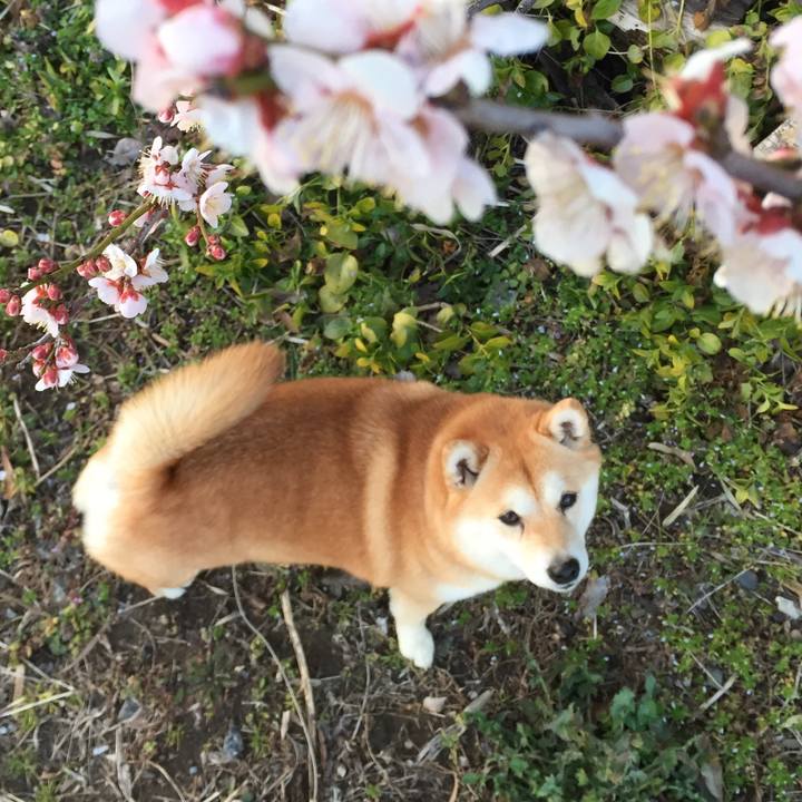 C69944c3 db37 4e7c b292 83b7ce696832 1521681251749