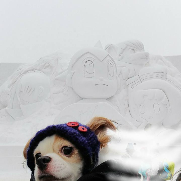 C699719a 91f6 4595 a414 f435fe39f049 1518264744570