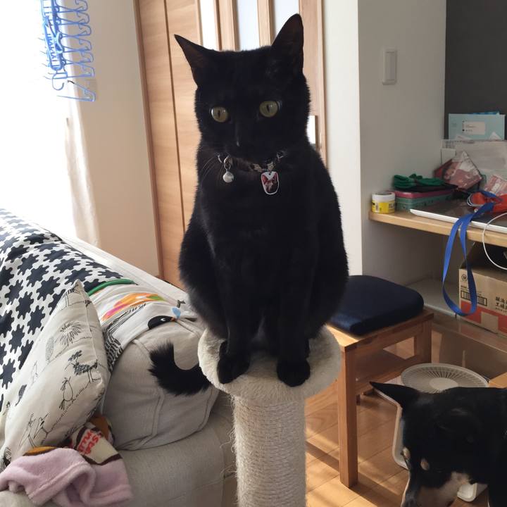 C699ce1c 2273 4993 953b c500e8ee6989 1517907216314