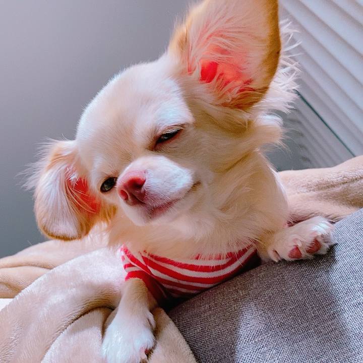 C699e6f6 f286 44b0 8236 90d96f27a29b 1633929721088