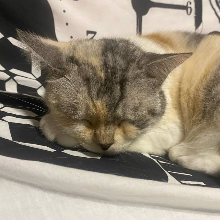 C69a8248 2730 4e0d 88f2 608949729060 1628943002353