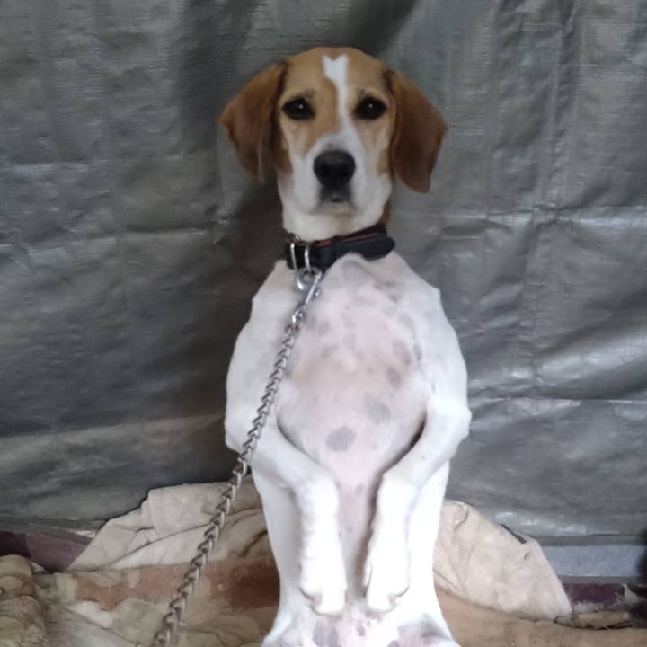 C69aba33 9be0 46f6 ab95 246b87763221 1663573695156