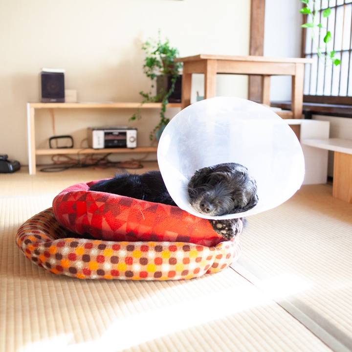 C69b344e f39f 4ebb a72b 0d5b748c6456 1606796357486