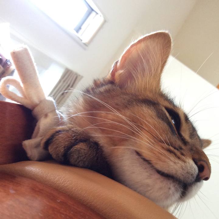 C69b8953 f222 4b97 a3dd ecef967ddb44 1565498328261