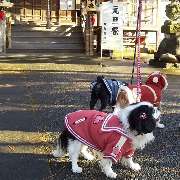 C69be5fd c09b 44c6 afa0 c75eecd07a97 1578048001733