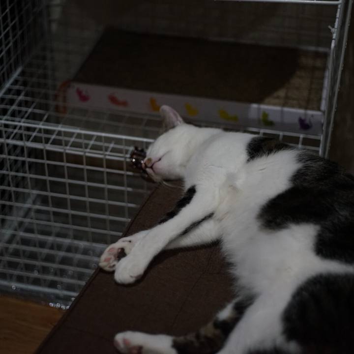 C69be65a 9d03 4423 9043 8e31eddc0f25 1525217520244