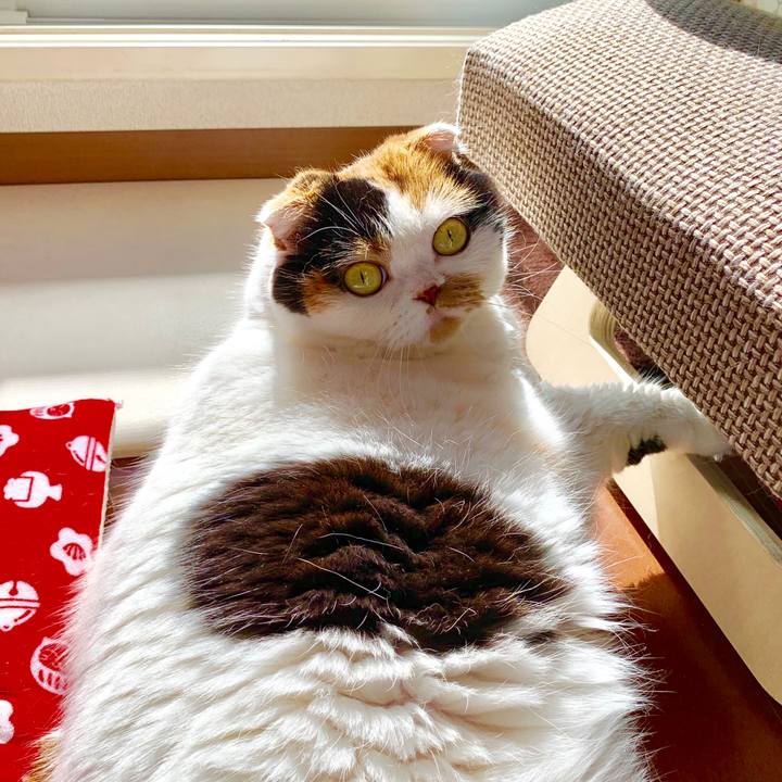 C69be671 6137 4c4a bbb6 4a1250da49ce 1569283436775