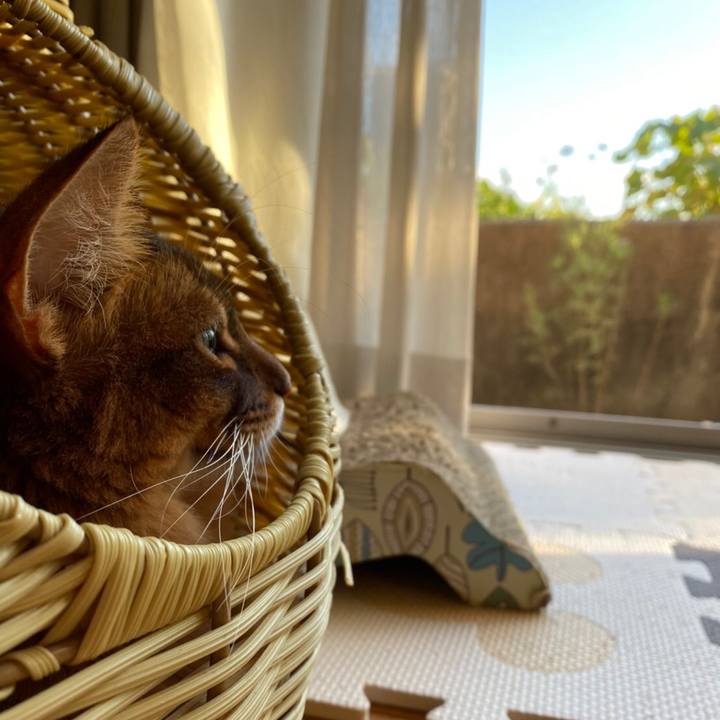 C69bf711 fc6a 4fca a449 f4f064cb2518 1635408579789