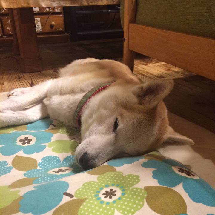 C69c129e e5dd 4d11 bc88 45f1f50cc51e 1569158084980