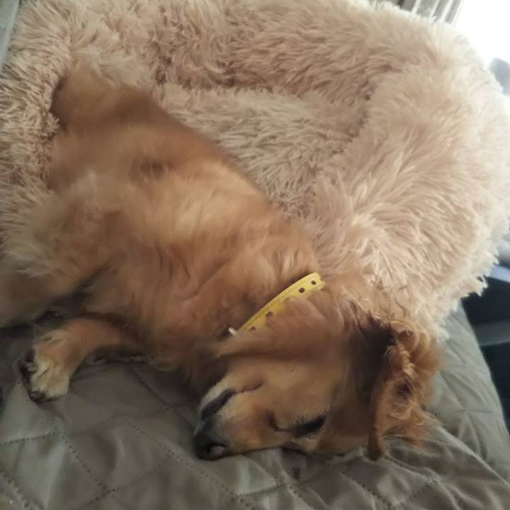 C69c5628 4974 4886 98a6 7a3ecaca1c83 1630130814444