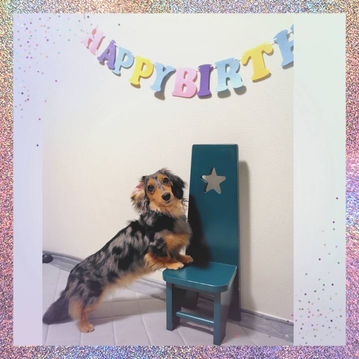 C69c5b50 8f3b 40b6 b79a 3c927882b270 1752666161033