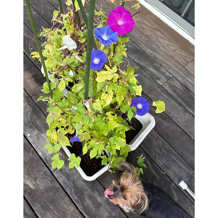 C69c7491 f9d6 44de a5a4 36f3c162a037 1758750580966