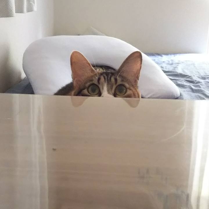 C69cd0c2 749a 4109 a6da a81bc1f9eba4 1688616220236