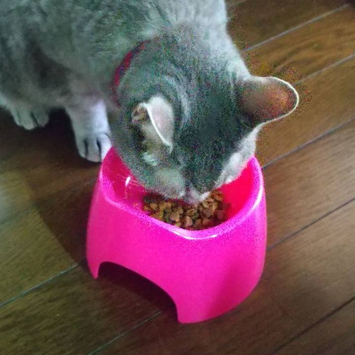 C69d3fdf b857 4315 a8ba 510b69ad8b99 1659943596283