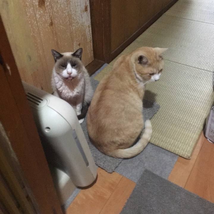 C69d5788 6095 4902 82b1 73274e64a0f9 1516486564549