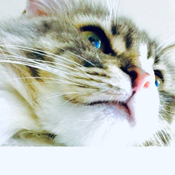 C69d9ba8 ff40 4f49 a09a 966365860203 1754063072975