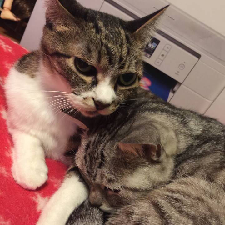 C69db434 be22 4d76 aca9 1ab87d538207 1574821996737