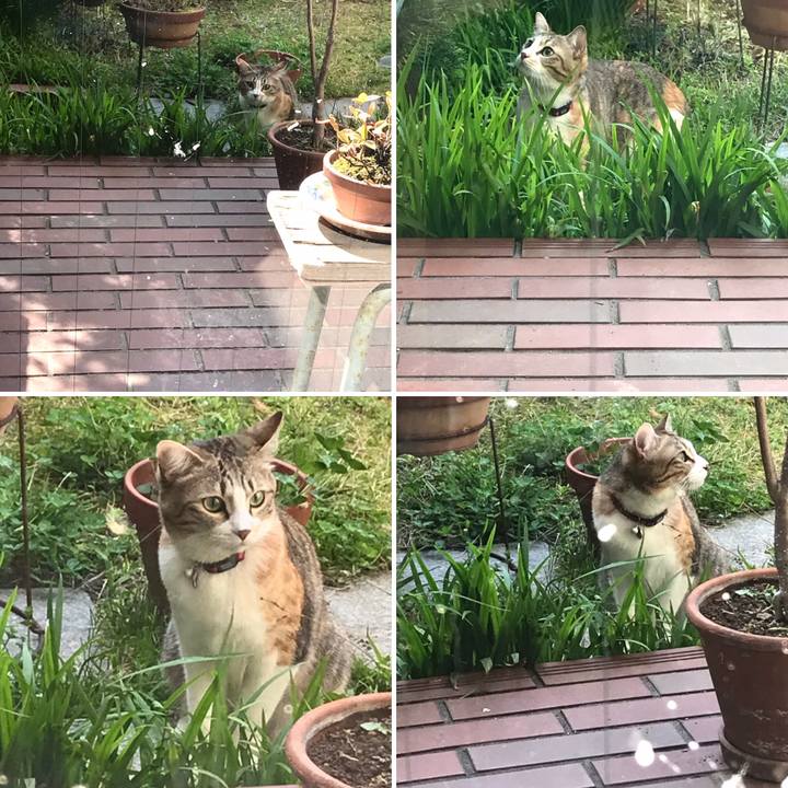 C69dc6ab e3f9 4288 8ac7 b98029bfd37a 1615945053101