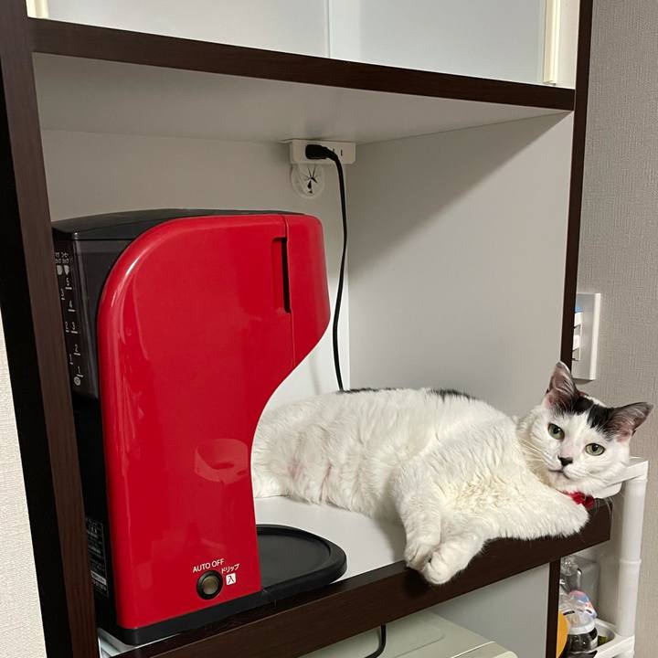 C69dc88e 3f93 4c05 abbb 1936067e9797 1623160154047