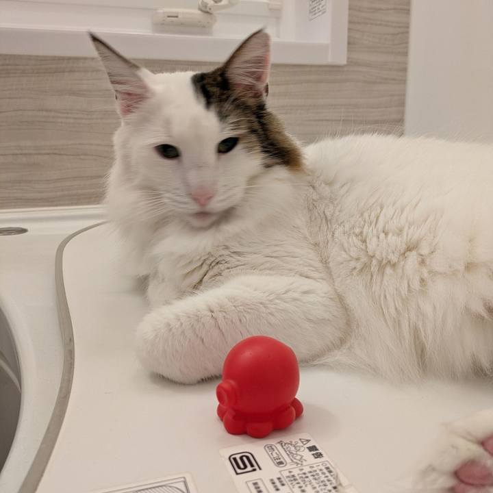 C69dfa1f 607f 4b17 96f0 c8a3721556fa 1762517616211