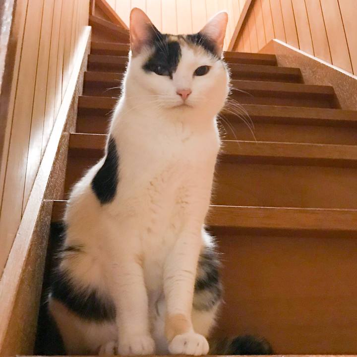 C69dffea cda3 40ae 81b2 4bd9b1139356 1522716917313