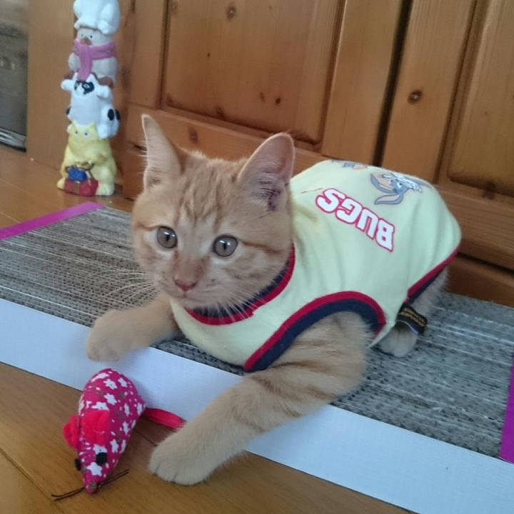 C69e31d8 2506 4a4a b95b a5666bf3e79f 1541815453124