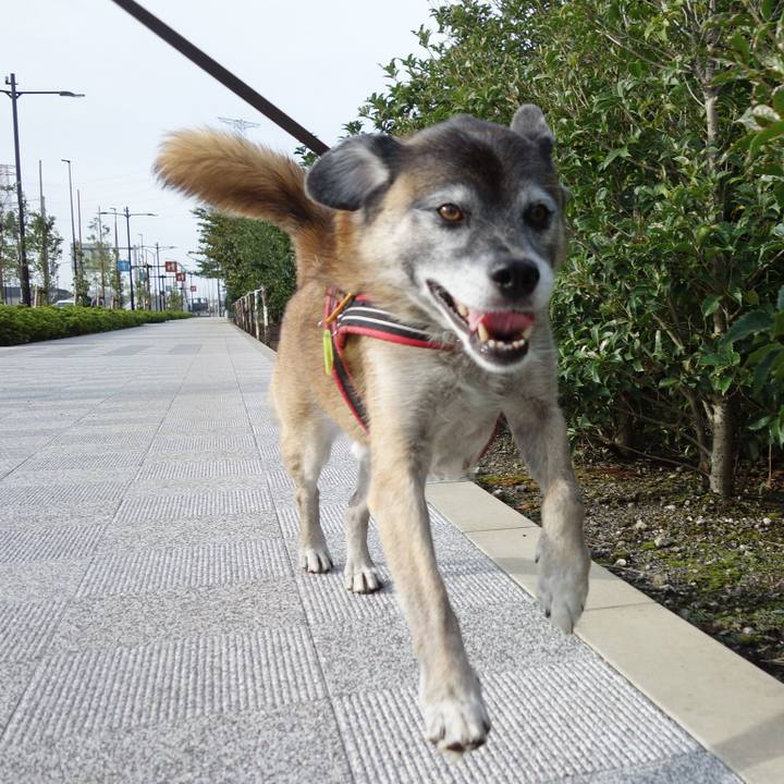 C69e93ea d871 468e adf6 cae2436dabf7 1536718207597