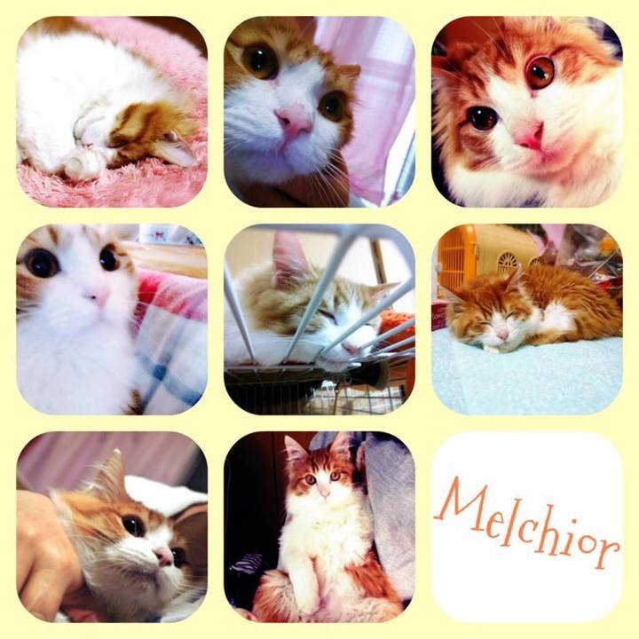 C69ed445 5e3f 4e94 82ad 6b41e2f71f97 1578881909456