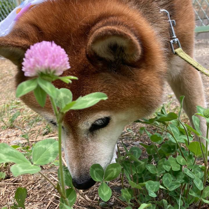 C69edf85 5d49 4fc7 927c 3557b772745f 1689554655559