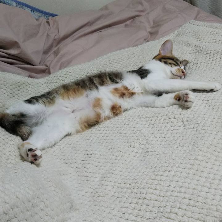 C69ee908 5e0a 4c99 982d 8419a1f525fa 1640084260764