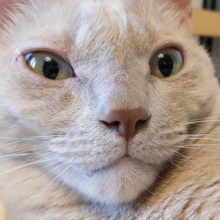 C69f25da 2b4c 4051 b662 a91aa28fde83 1758322387751