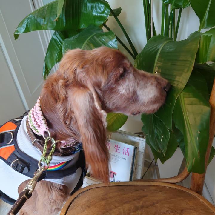 C69f2aa2 2b03 49fb 9b7a e1581e154b11 1715557071446