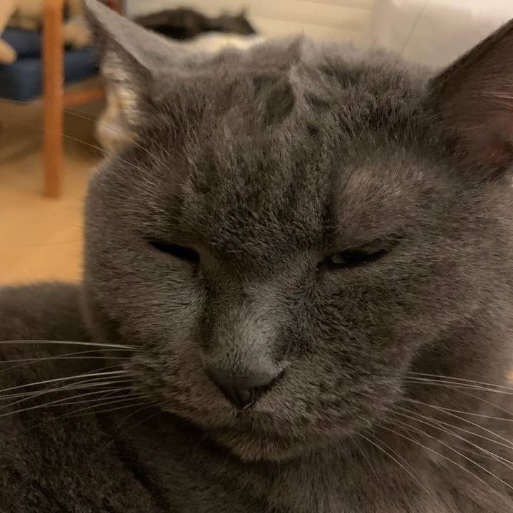 C69f4dde 8831 4e21 a3ce 98e1c1995958 1668219886868