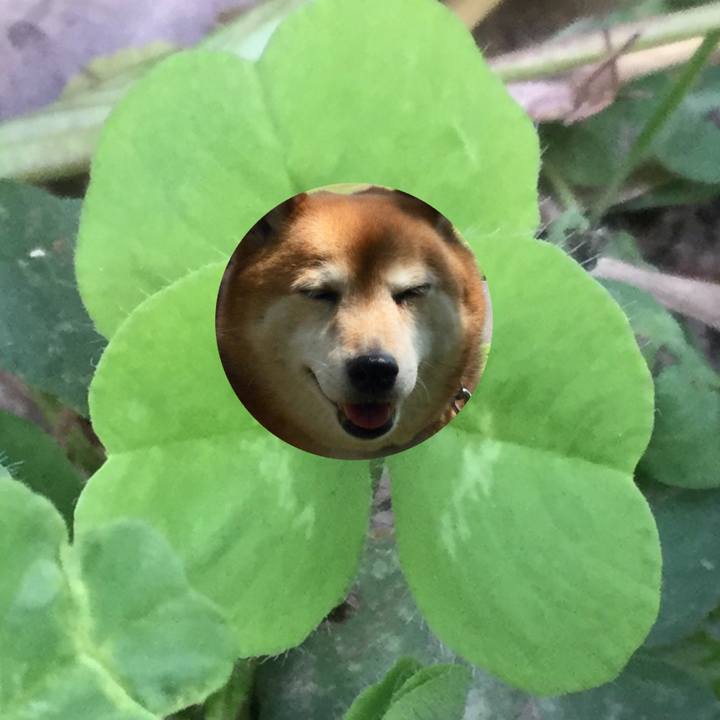 C69f70d0 5a35 49a0 9481 8832eb14a529 1618180945630