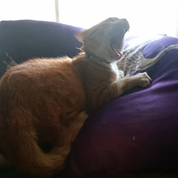 C69f9161 d847 496c 8a12 c32ff2a786be 1596957023724