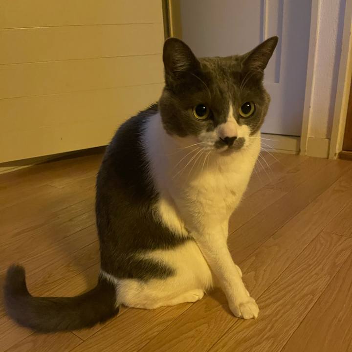 C69fb14f 471d 4d13 aeaa 058a9980081b 1741388020906