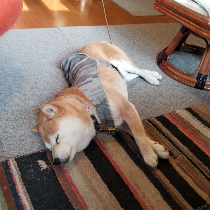 C69fe038 f476 434d be05 5683f00cb99f 1616797228284