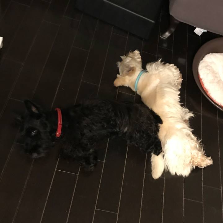 C6a01e18 3c9d 4dbe b4ac ec0955ebcc09 1527950631864